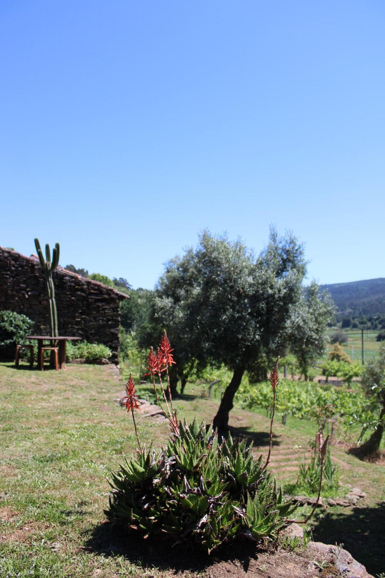 Lugar Da Lourida Βίλα Caminha Εξωτερικό φωτογραφία